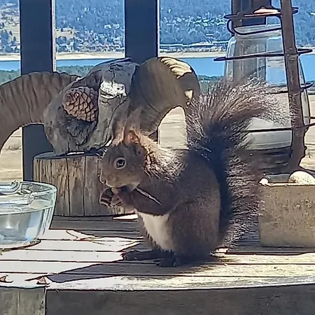 Apartamento Le Montagnard Ninou *